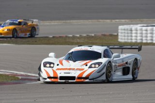 Mosler 1985