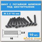 Винты М2.5*16мм (10шт) с потайной шляпкой под шестигранник