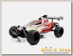 Р/У багги Feilun Land King 2WD 2.4G 1/10 RTR
