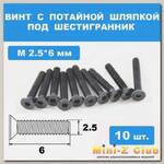 Винты М2.5*6мм (10шт) с потайной шляпкой под шестигранник