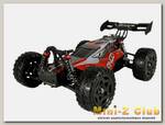 Радиоуправляемая багги Remo Hobby Dingo V2.0 (красный) 4WD 2.4G 1/16 RTR (комплект с дополнительным аккумулятором 3000mAh, чехлом и защитой)