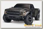 Ford F-150 1:10 2WD Black