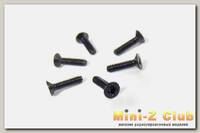 Винты M2x8 6шт Himoto E18