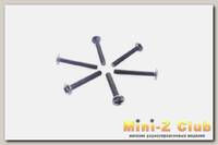 Himoto Винты M3x20 с круглой головкой (6шт), E10