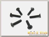 Винт с потайной головкой M3x14 под шестигранник, 6шт.