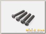 Винты с полукруглой головкой M2,6x12 под крестовую отвёртку 4шт. для Hi4170
